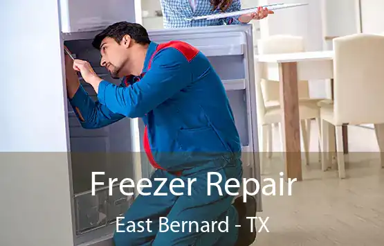  Freezer Repair East Bernard - TX