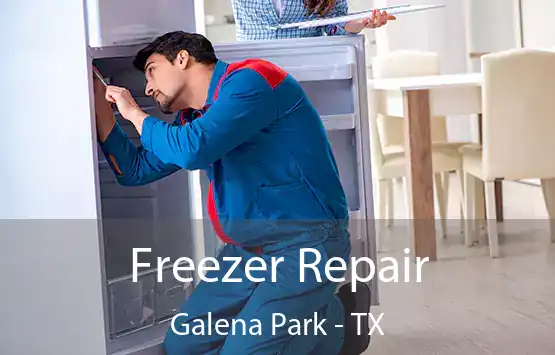  Freezer Repair Galena Park - TX