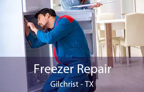  Freezer Repair Gilchrist - TX
