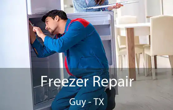  Freezer Repair Guy - TX