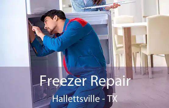  Freezer Repair Hallettsville - TX