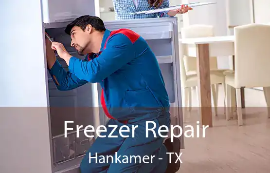  Freezer Repair Hankamer - TX