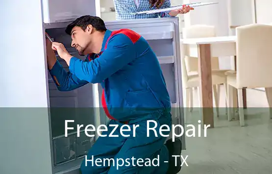  Freezer Repair Hempstead - TX