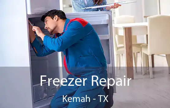  Freezer Repair Kemah - TX