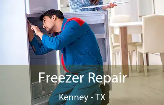  Freezer Repair Kenney - TX
