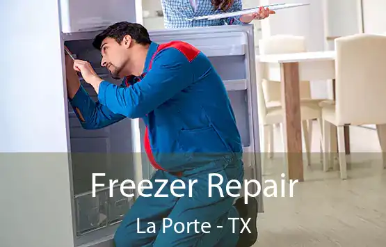  Freezer Repair La Porte - TX
