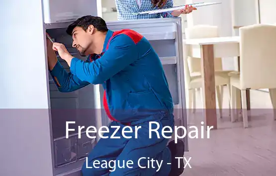  Freezer Repair League City - TX
