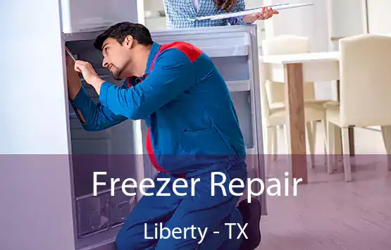  Freezer Repair Liberty - TX
