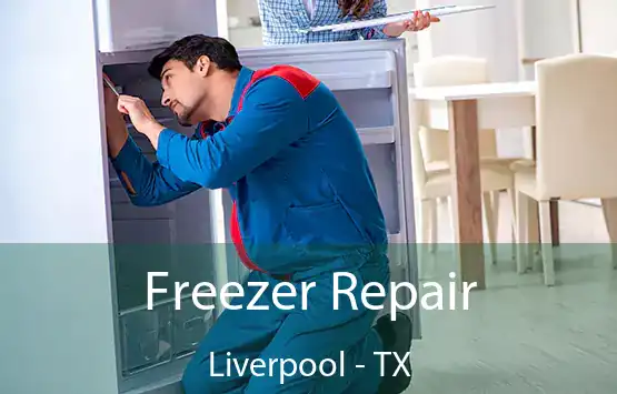  Freezer Repair Liverpool - TX
