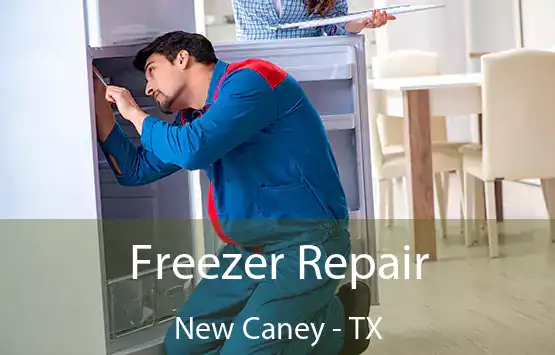  Freezer Repair New Caney - TX