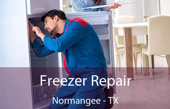  Freezer Repair Normangee - TX