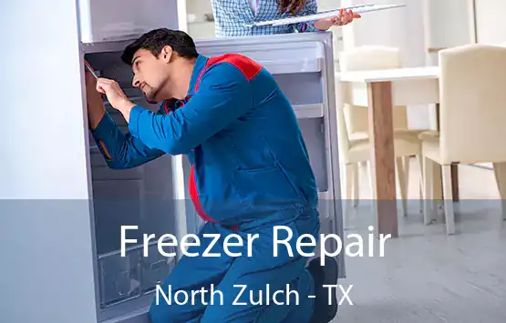  Freezer Repair North Zulch - TX
