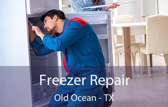  Freezer Repair Old Ocean - TX