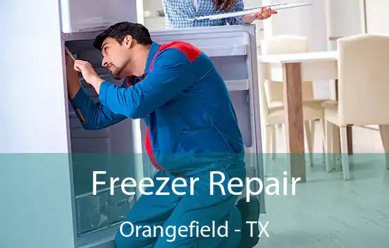  Freezer Repair Orangefield - TX