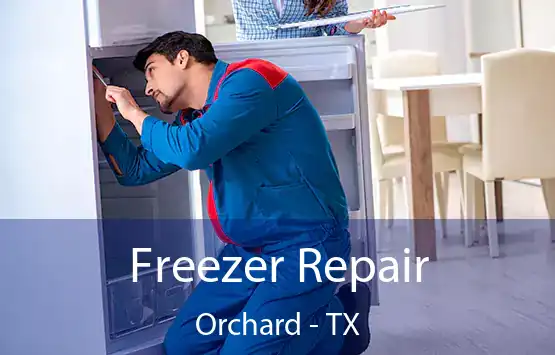  Freezer Repair Orchard - TX