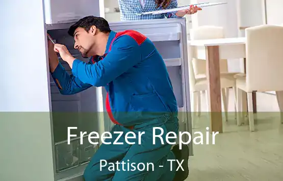  Freezer Repair Pattison - TX