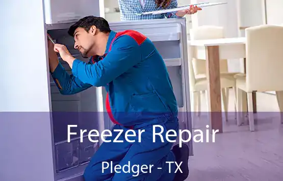  Freezer Repair Pledger - TX