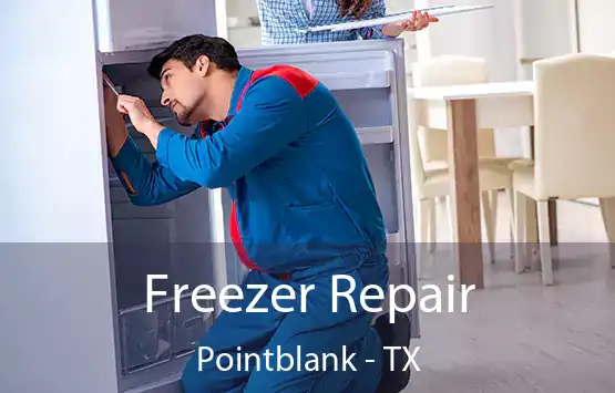  Freezer Repair Pointblank - TX