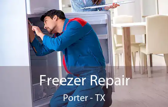  Freezer Repair Porter - TX