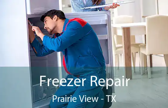  Freezer Repair Prairie View - TX
