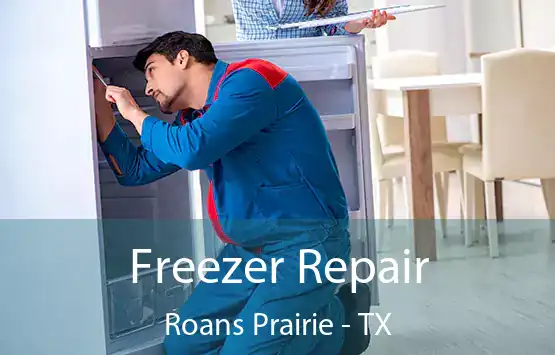  Freezer Repair Roans Prairie - TX