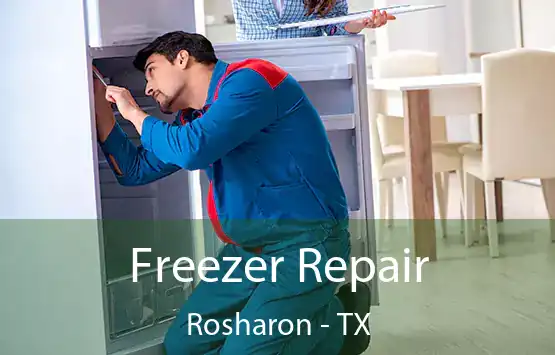  Freezer Repair Rosharon - TX