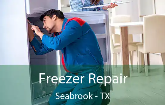  Freezer Repair Seabrook - TX