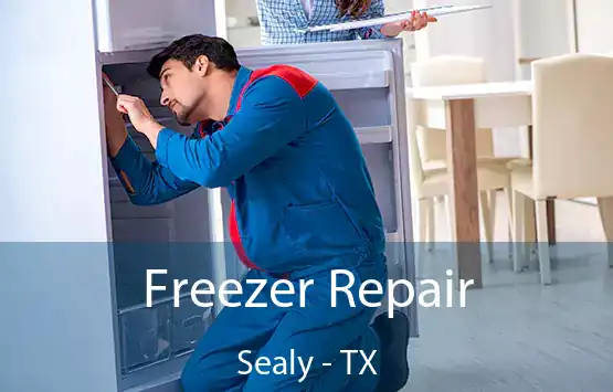  Freezer Repair Sealy - TX
