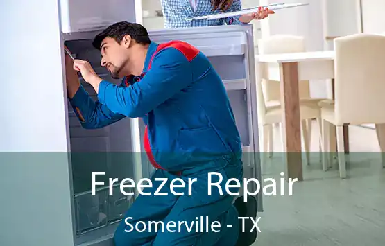  Freezer Repair Somerville - TX