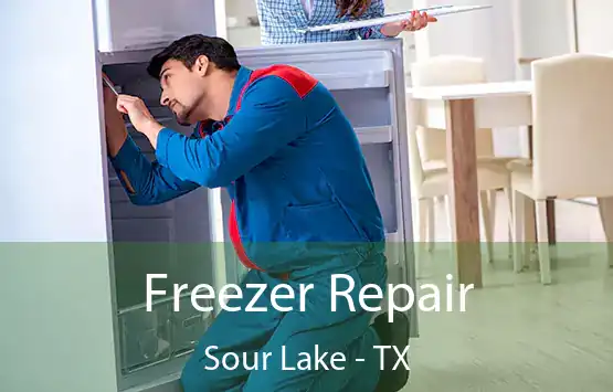  Freezer Repair Sour Lake - TX