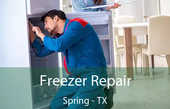  Freezer Repair Spring - TX