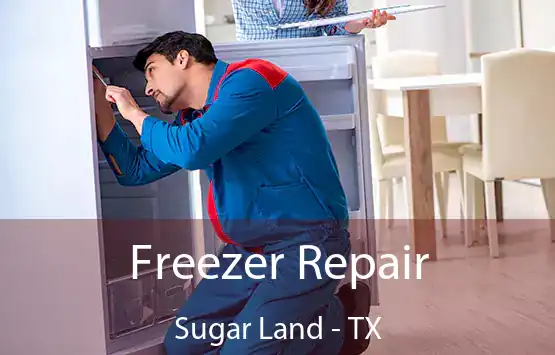  Freezer Repair Sugar Land - TX