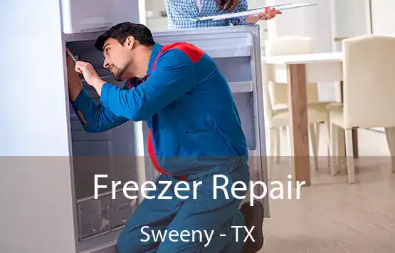  Freezer Repair Sweeny - TX