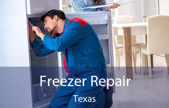  Freezer Repair Texas