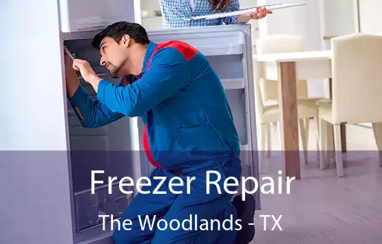  Freezer Repair The Woodlands - TX
