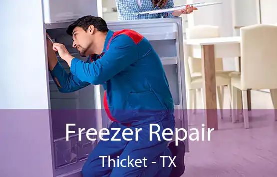  Freezer Repair Thicket - TX