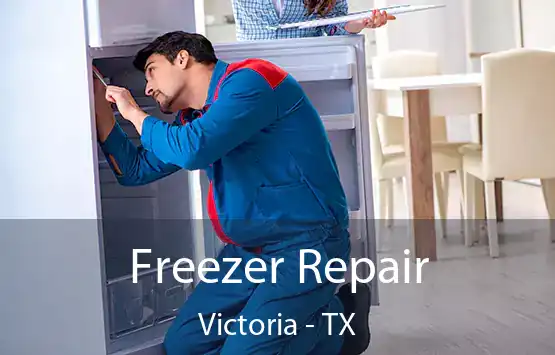  Freezer Repair Victoria - TX
