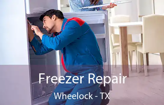  Freezer Repair Wheelock - TX