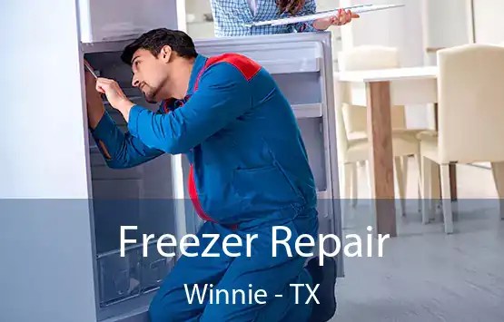  Freezer Repair Winnie - TX