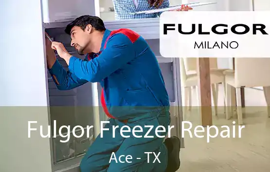  Fulgor Freezer Repair Ace - TX