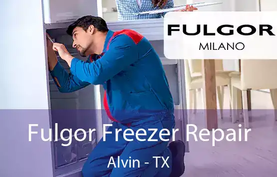  Fulgor Freezer Repair Alvin - TX