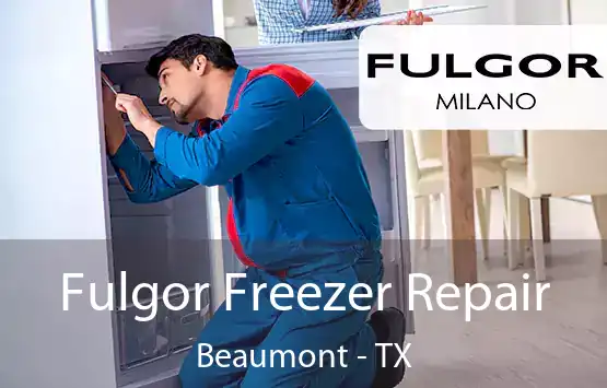  Fulgor Freezer Repair Beaumont - TX