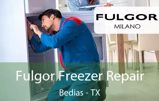  Fulgor Freezer Repair Bedias - TX