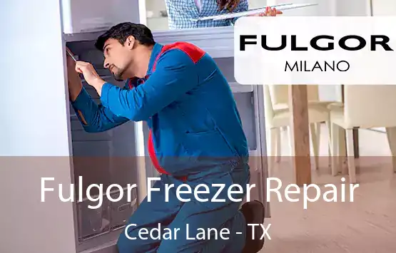  Fulgor Freezer Repair Cedar Lane - TX