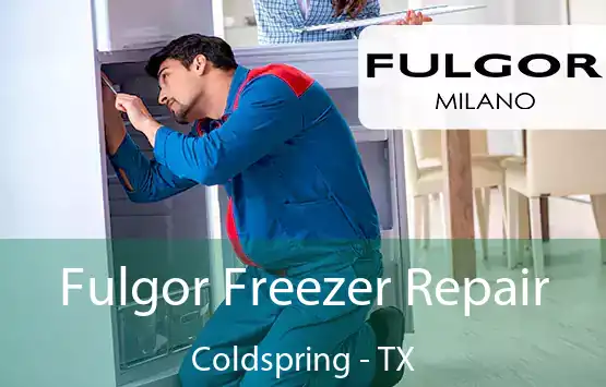  Fulgor Freezer Repair Coldspring - TX