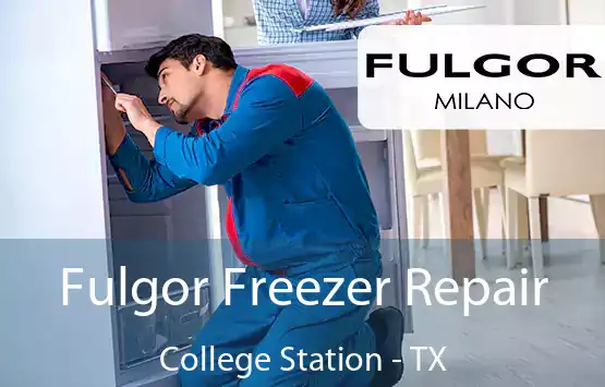  Fulgor Freezer Repair College Station - TX