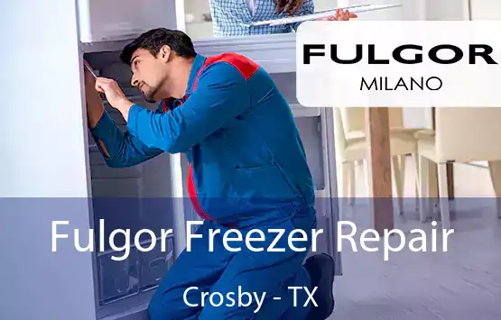  Fulgor Freezer Repair Crosby - TX