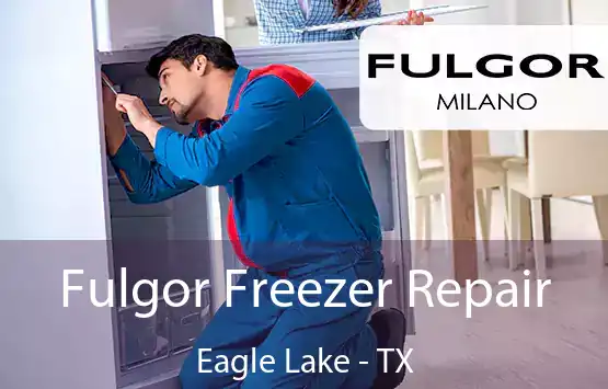  Fulgor Freezer Repair Eagle Lake - TX