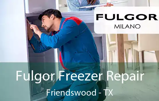  Fulgor Freezer Repair Friendswood - TX