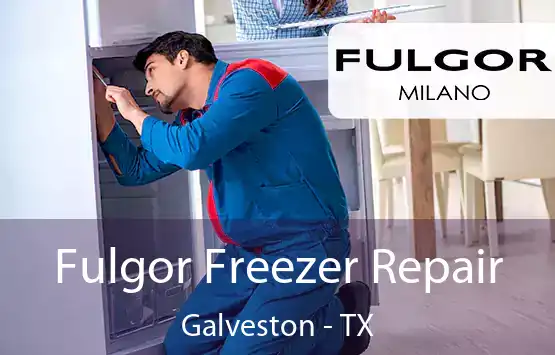  Fulgor Freezer Repair Galveston - TX